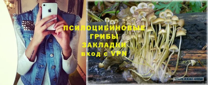 hydra ONION  Лесосибирск  Псилоцибиновые грибы Psilocybe 